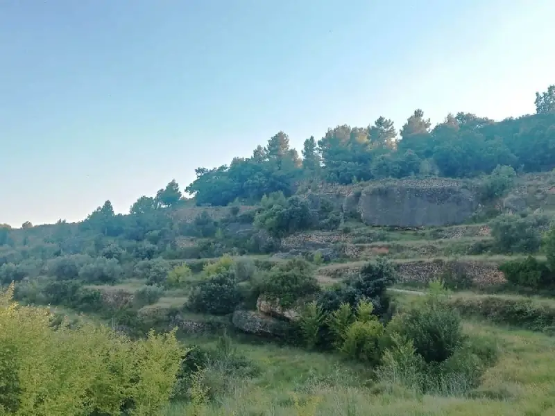 Venta Finca Buenas Vistas Monroyo