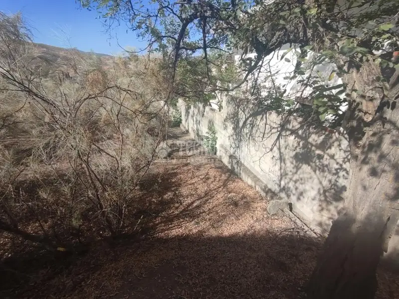 Terrenos en venta en Cenes De La Vega