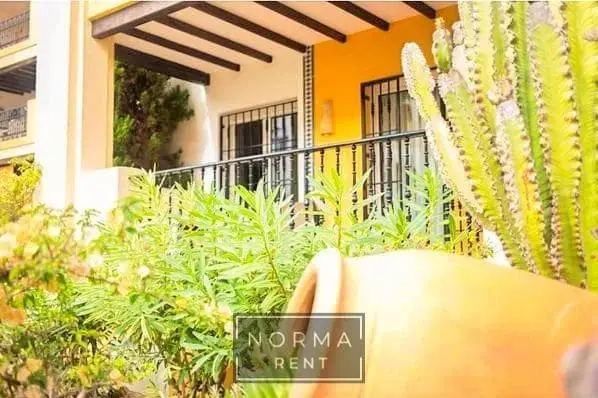 Alquiler Vacacional Julio 2025 Apartamento Lujo Torrevieja Playa Los Locos