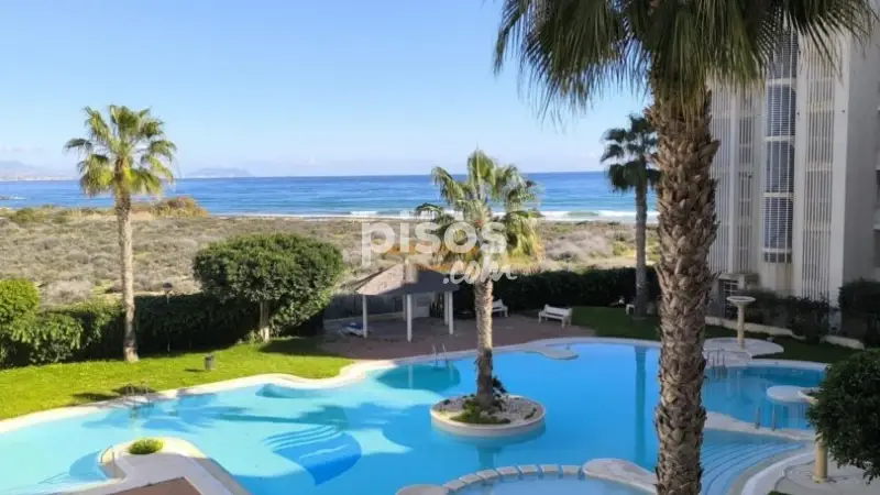 Apartamento Playa Muchavista Alquiler Temporada El Campello