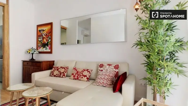 Apartamento 1 Dormitorio Madrid Alquiler