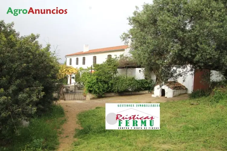 Venta de Finca de Olivos con Dos Viviendas en Córdoba