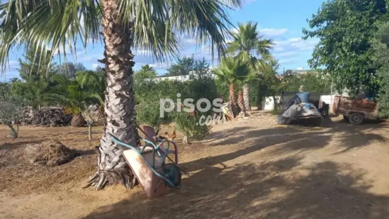 Finca Rustica en Venta Cerca de Utrera