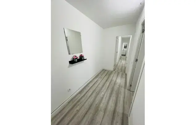 Alquiler Apartamento 5 Dormitorios Madrid 3-24 Meses