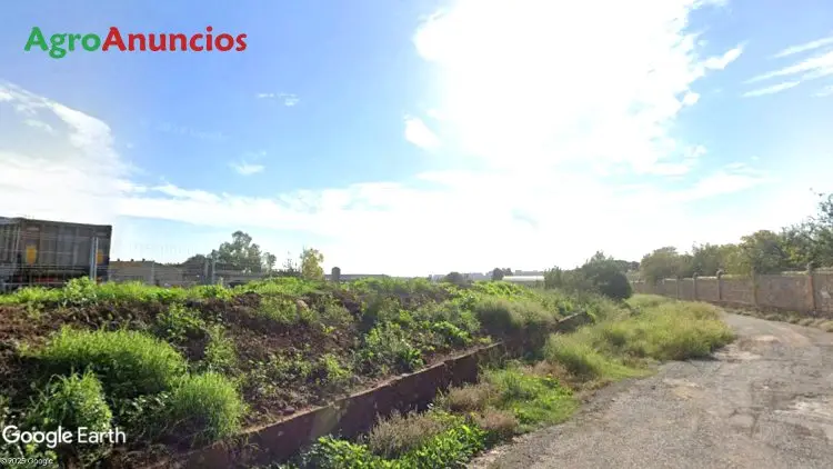 Venta Explotacion Ganadera Castellon 7367m2