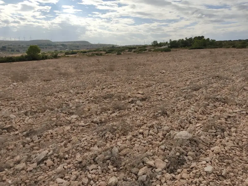 Venta Parcela Los Espetones Almansa 15000m2