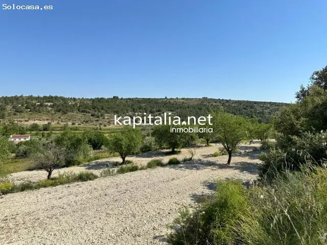 Parcela en Alfafara para construir casa