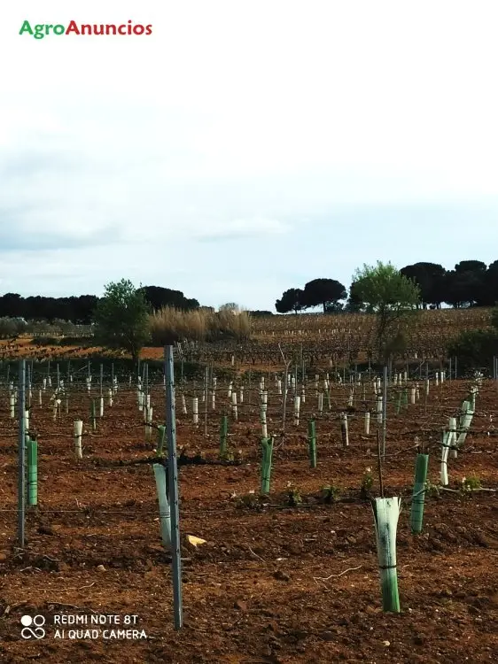 Venta  de Terreno de regadío en Cuenca