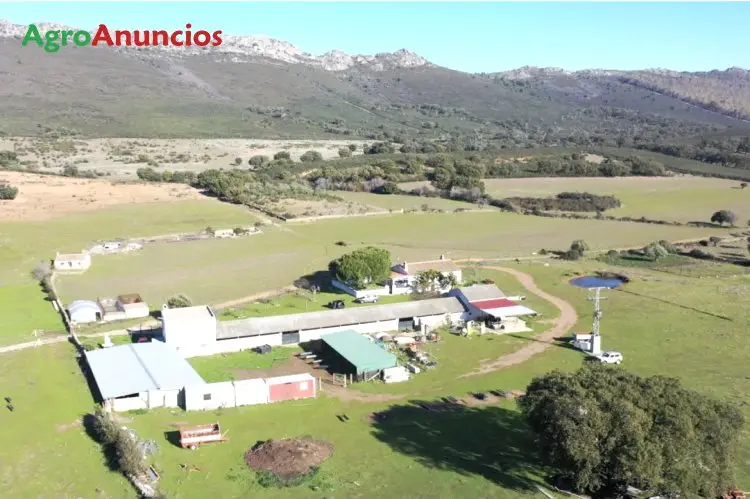 Venta  de Finca  con vivienda, abundante agua y luz en Cáceres