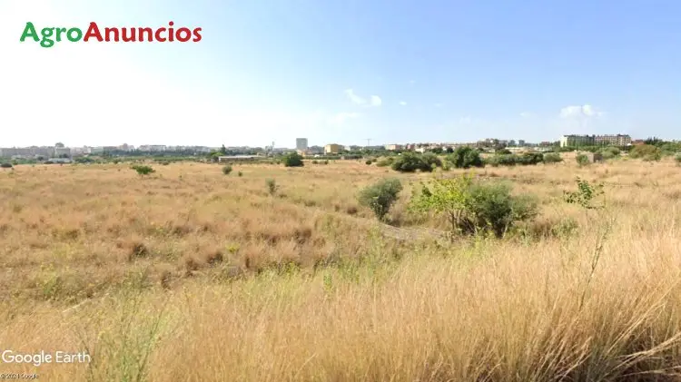 Venta  de Finca junto casco urbano en Castellón