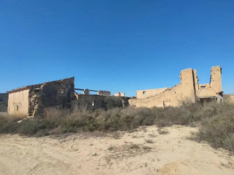 Estado Rustico en Torremendo: 298000m2, Arboles de Almendro, Agua de Riego