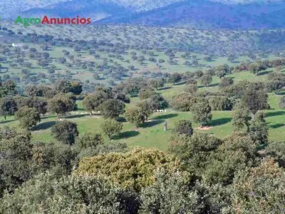 Venta  de Finca ganadera en Cáceres