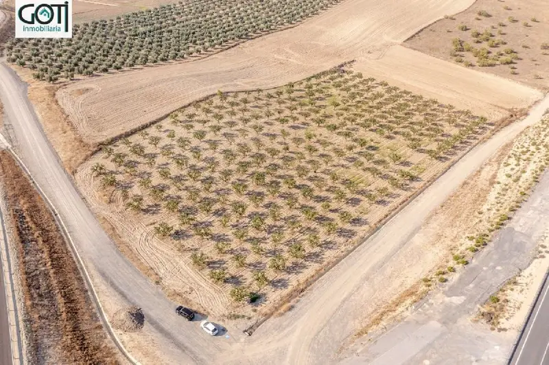 Venta Terreno en Nueva Otura Otura 15000m2