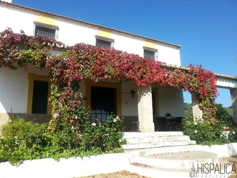 Finca con Cortijo Andaluz 5 Dormitorios Piscina 15Ha Sevilla