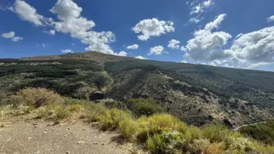 Chalet rústico en venta en Carretera de Puerto de la Ragua