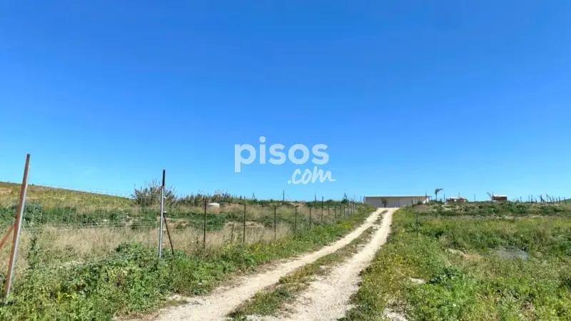 Finca rústica en venta en Cartuja