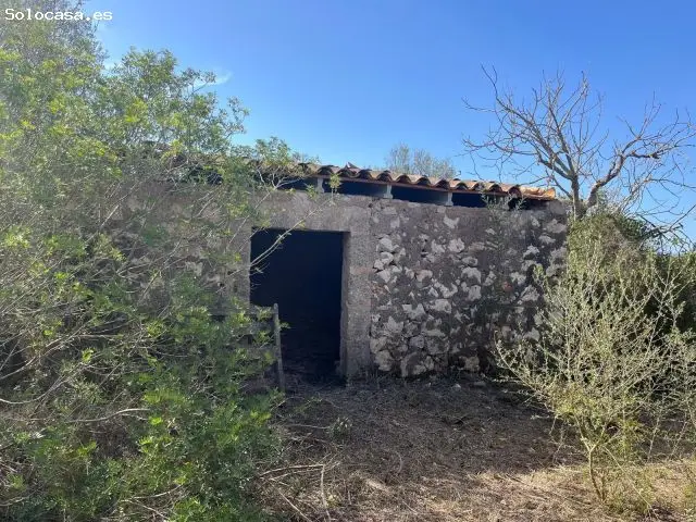 Finca Rustica Ariany 4500m2 Caseta 33m2 Reforma
