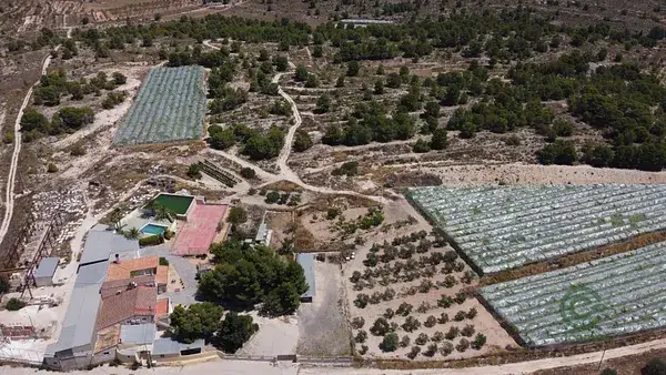 Hacienda Rustica 17Hectareas Monovar Casa Bodega Nave Agricola