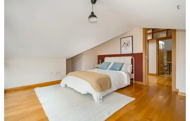 Alquiler piso 10 habitaciones Madrid estudiantes jóvenes