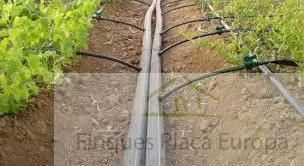 Venta Terreno Agricola 386 hectareas Olivar Viñedo Ciudad Real