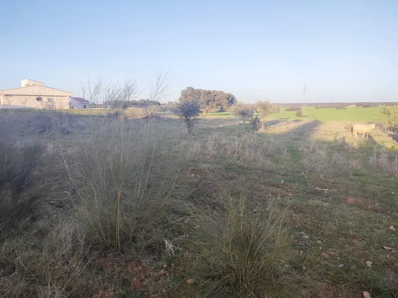 Venta Parcela Badajoz 5700m2 Dehesilla Calamón