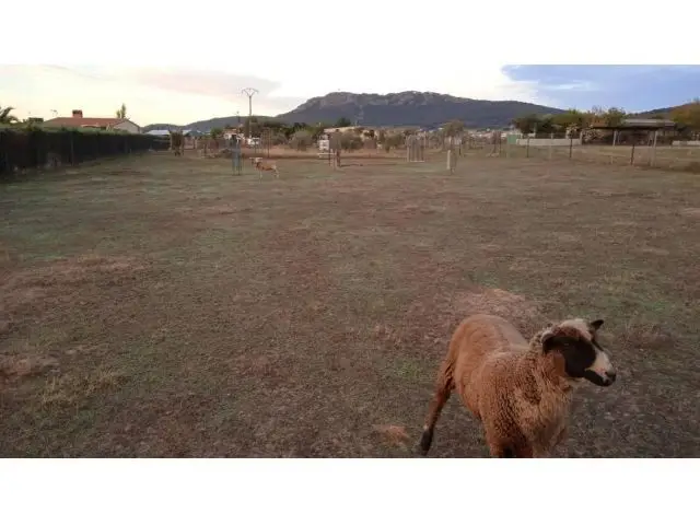 Parcela Cuadrada en Sierra de Fuentes - Ideal Casa Prefabricada