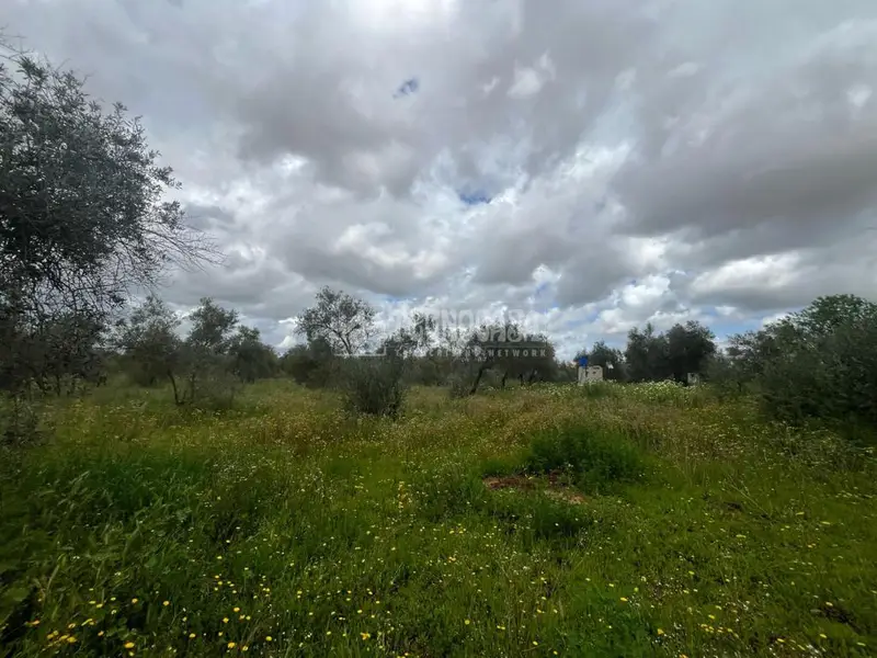 Terreno Agricola en Venta Pilas 30000m2