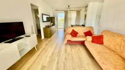 Piso en alquiler en Platja D'Alcúdia-Port D'Alcúdia