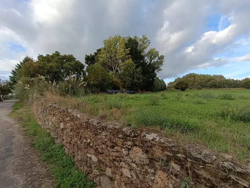 Finca/Casa Rural en venta en Viana do Bolo, Orense