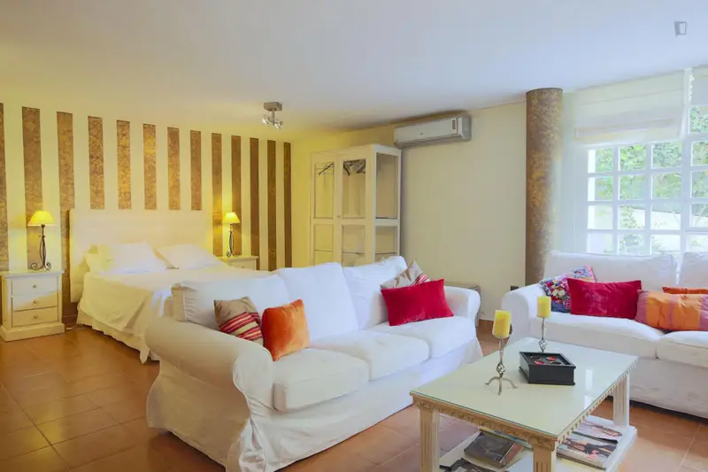 Estudio con Terraza y Piscina en Sevilla Ideal para Estudiantes