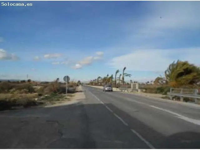 Terreno Rustico Elche Zona Carrizales Humedales