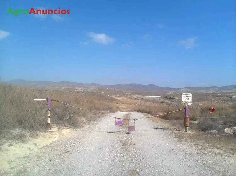 Venta  de Finca rústica cultivos aire libre en Almería