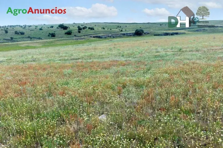 Venta  de Finca ganadera en Salamanca