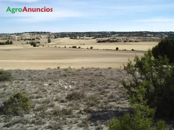 Venta  de Terreno yermo sin cultivar en Soria