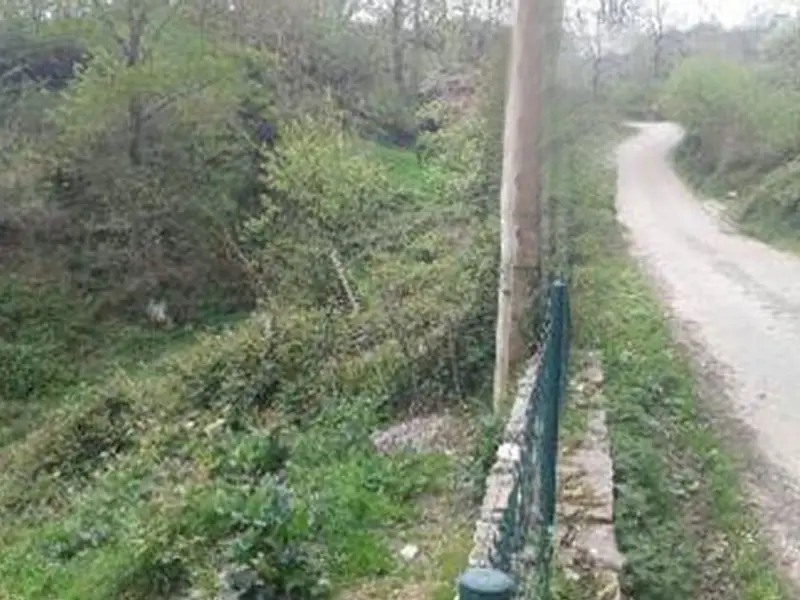 Terreno Rustico en Venta Cangas de Onis Asturias