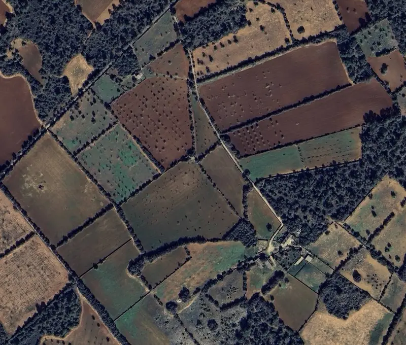 Finca Rustica en Venta Llucmajor Mallorca 36000m2