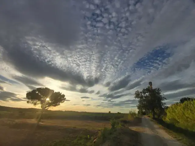 Finca rústica en venta en Puigverd de Lleida