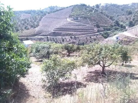 Finca Rustica en Venta Frigiliana Cerca Nerja Malaga