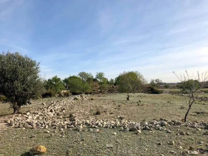 Venta Terreno en Els Arquets Sant Jaume dels Domenys 422m2