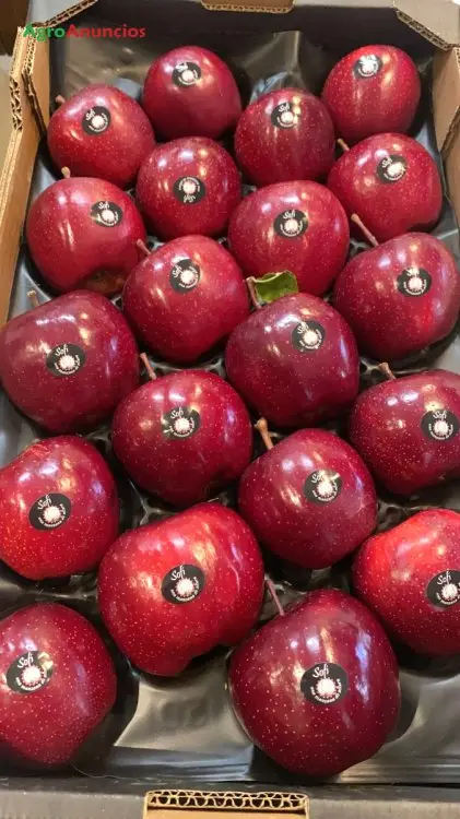 Venta Finca Manzanos León: 27 Hectáreas con Riego y Maquinaria