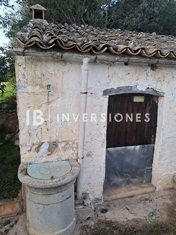 Finca Rustica Inca 2887m2 Caseta 24m2 Almendros Higueras