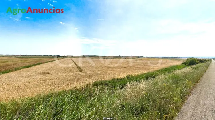 Finca de Regadío en Venta Los Monegros Huesca