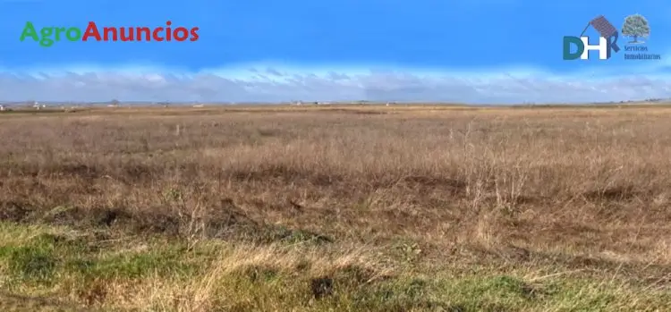 Venta  de Finca de regadío directo de canal en Salamanca