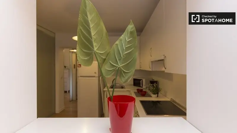 Apartamento en Madrid 2 dormitorios 1 bao Spotahome