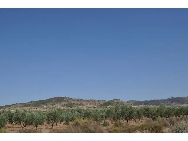 Parcela en Venta Pinoso Alicante