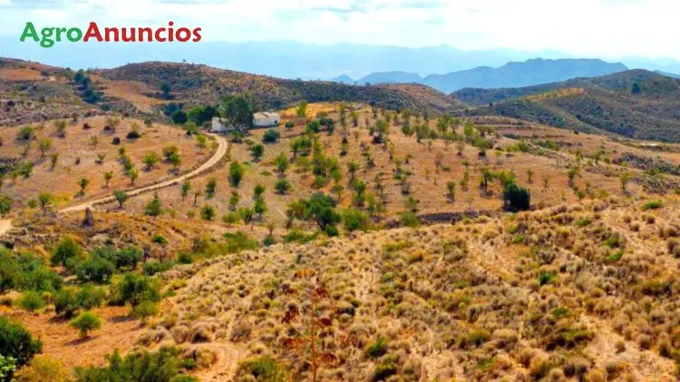 Venta  de Finca de caza con casa en Murcia