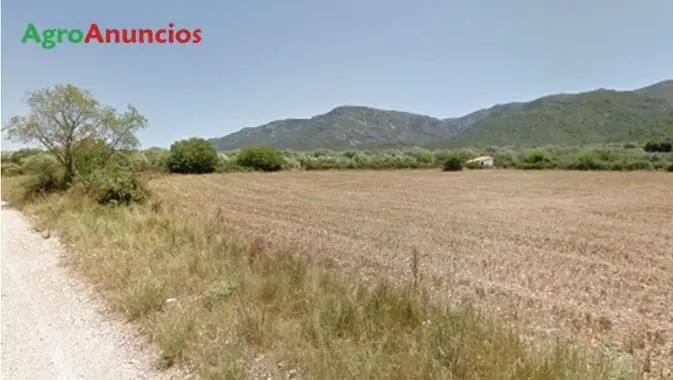 Venta  de Terreno de secano en Tarragona