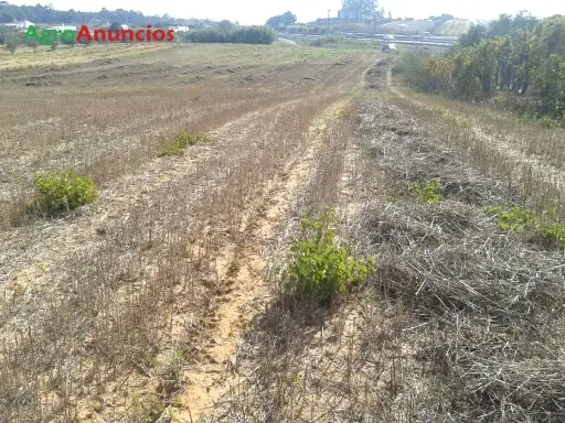 Venta  de Terreno de secano en Huelva