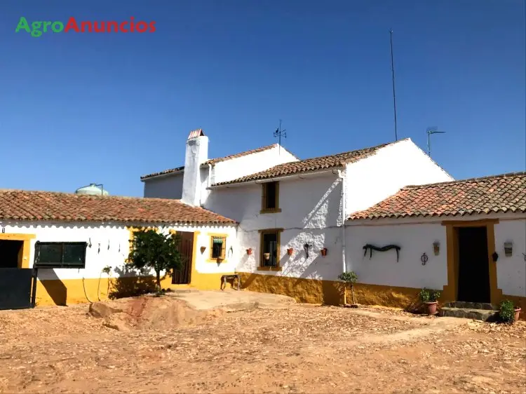 Venta  de Finca ganadera con casa en Badajoz