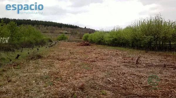 Finca Rustica en Camponaraya 014ha